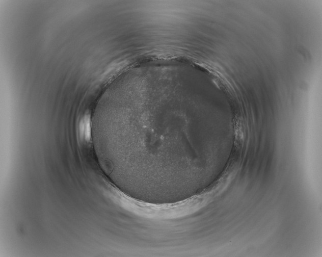 X0000115120046200911101635