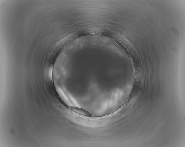 X0000115120047200911101635