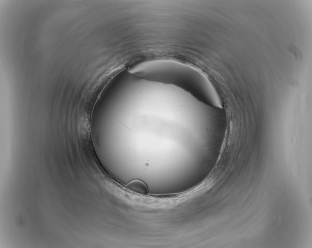 X0000115120048200911101635