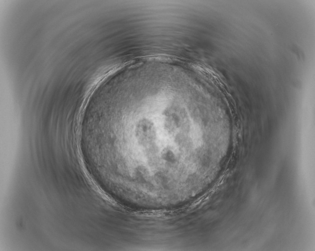 X0000115120049200911101635