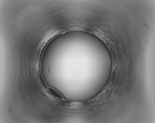 X0000115120050200911101635