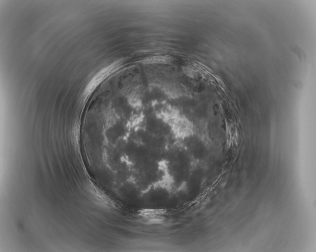 X0000115120051200911101635
