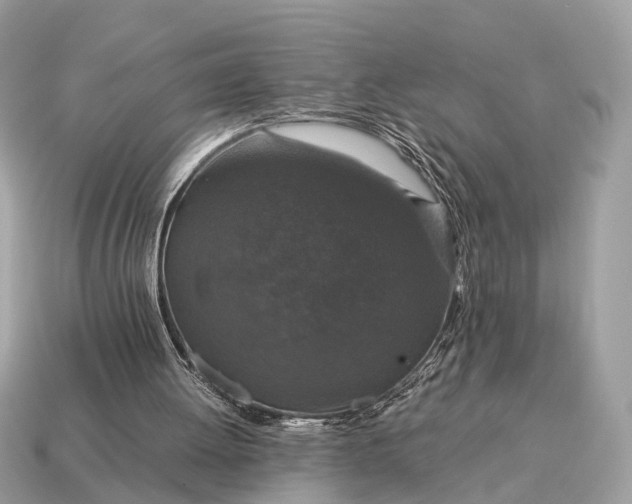 X0000115120052200911101635