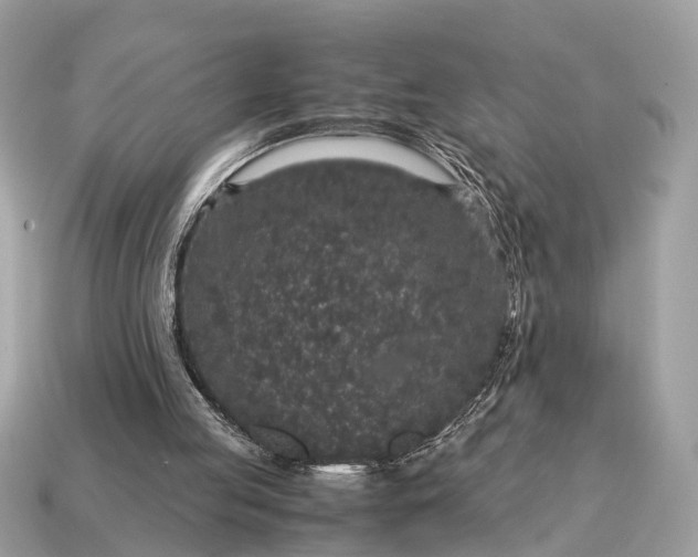 X0000115120053200911101635