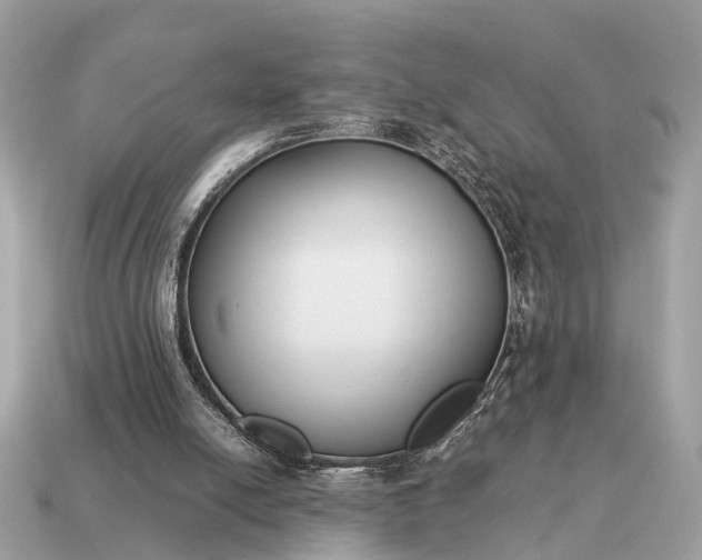 X0000115120054200911101635