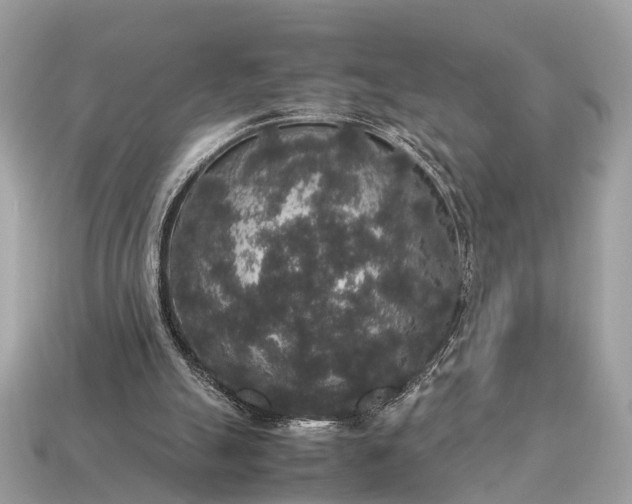 X0000115120055200911101635