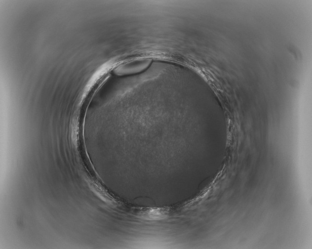 X0000115120056200911101635