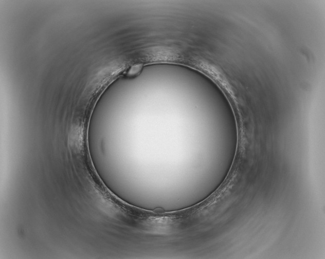 X0000115120057200911101635