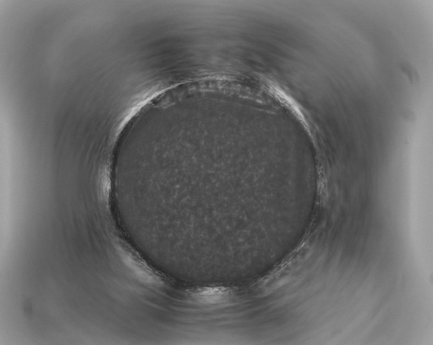 X0000115120059200911101635