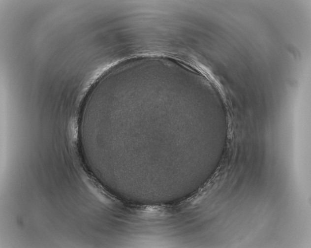X0000115120060200911101635
