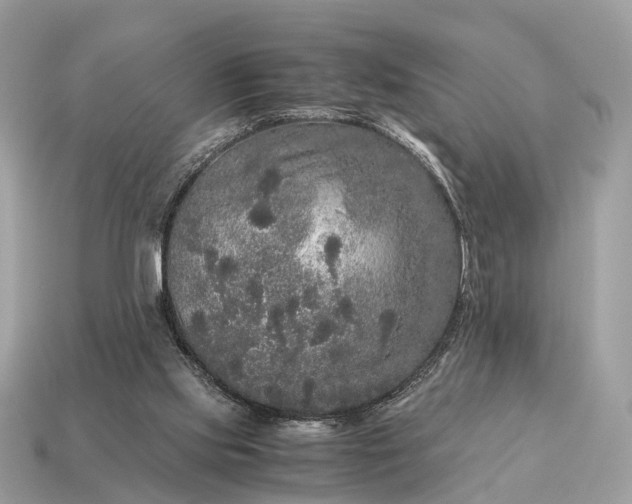 X0000115120061200911101635