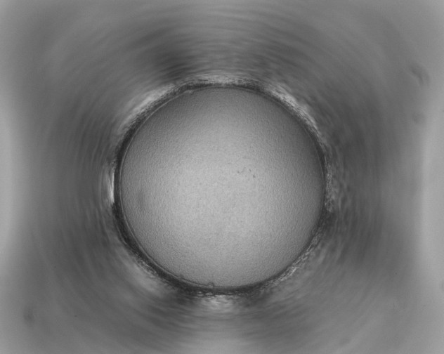 X0000115120062200911101635