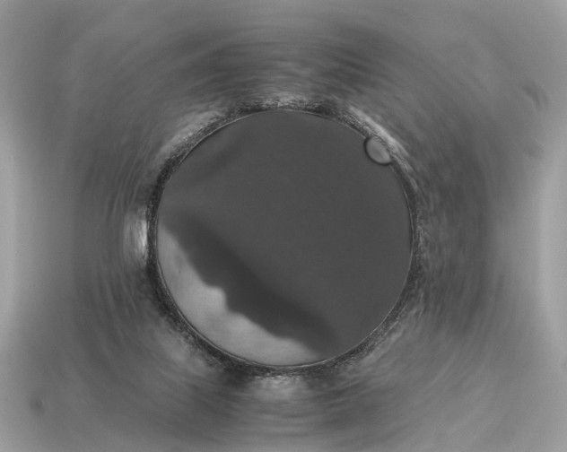 X0000115120067200911101635