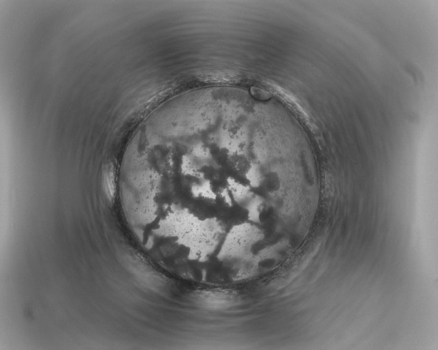 X0000115120069200911101635