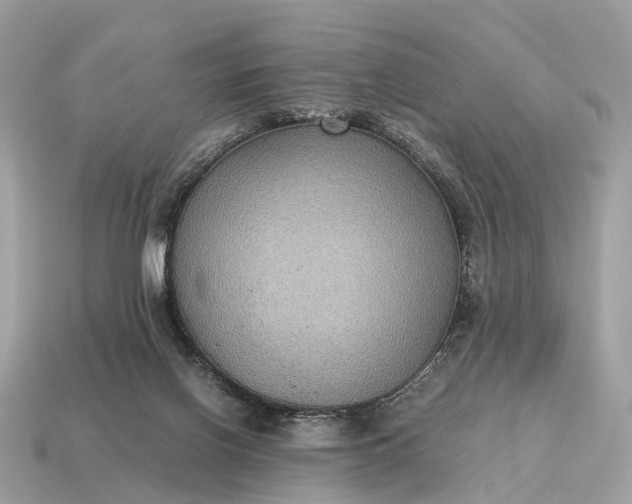 X0000115120070200911101635