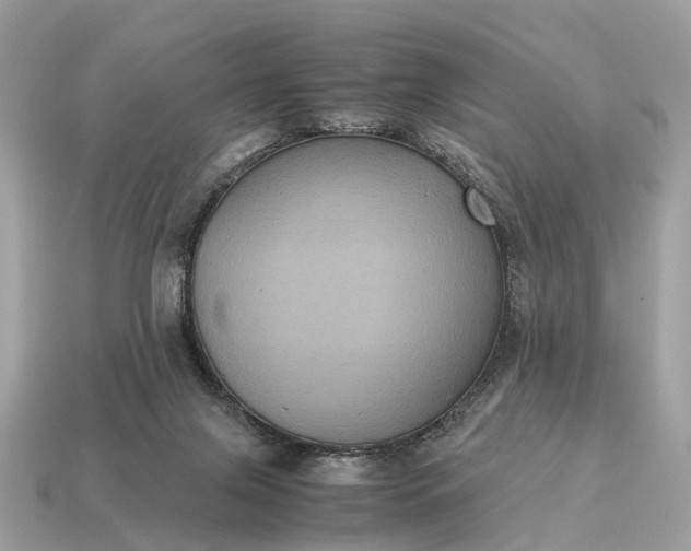 X0000115120071200911101635