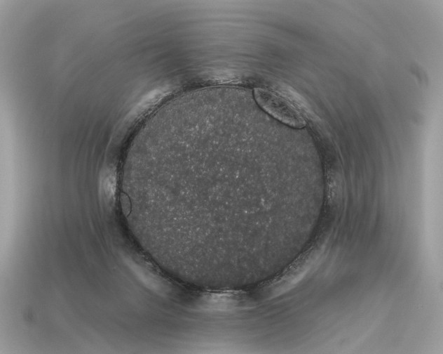 X0000115120072200911101635
