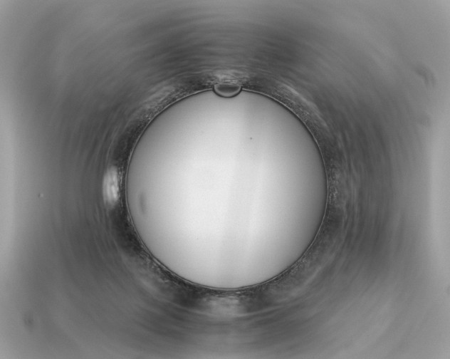 X0000115120075200911101635