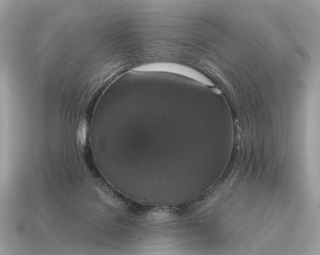 X0000115120076200911101635