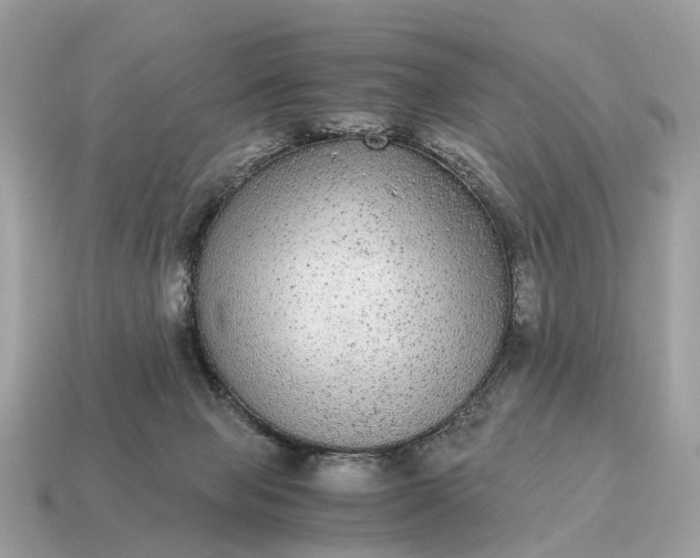 X0000115120077200911101635