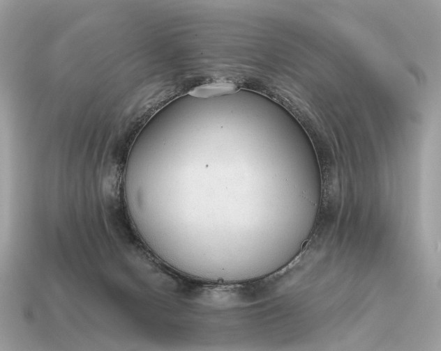 X0000115120078200911101635