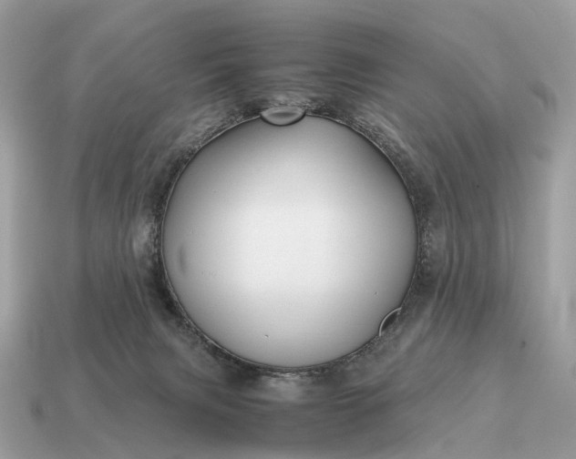 X0000115120079200911101635