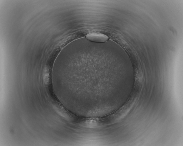 X0000115120080200911101635