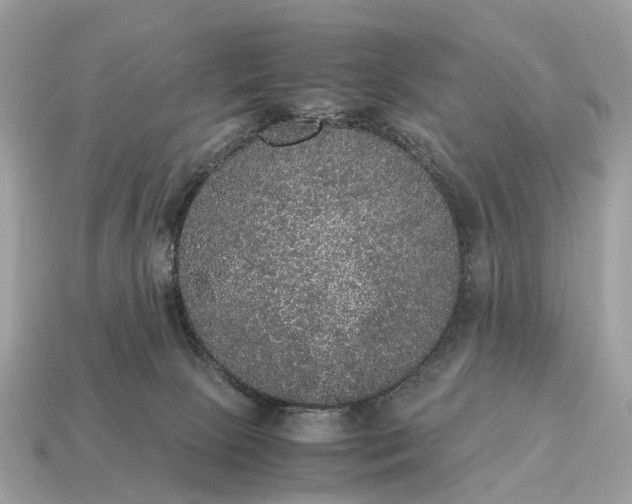 X0000115120081200911101635