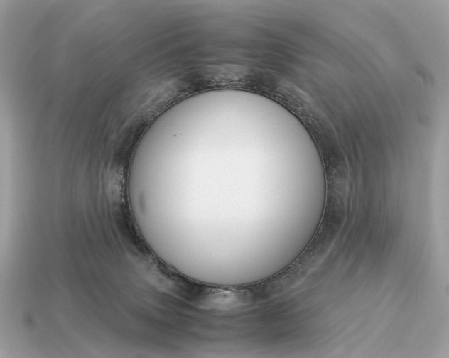 X0000115120083200911101635