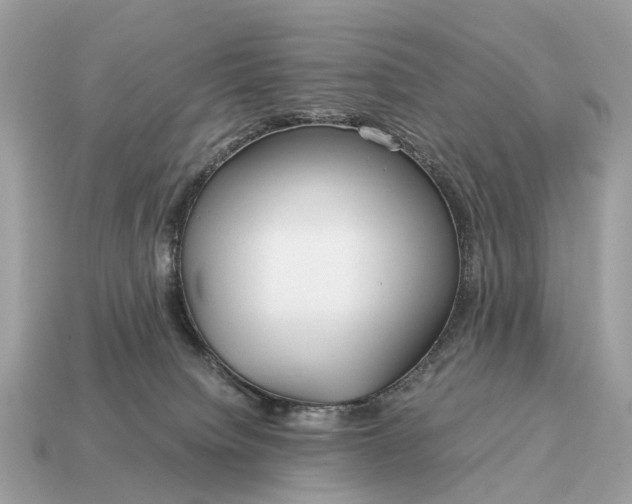 X0000115120084200911101635