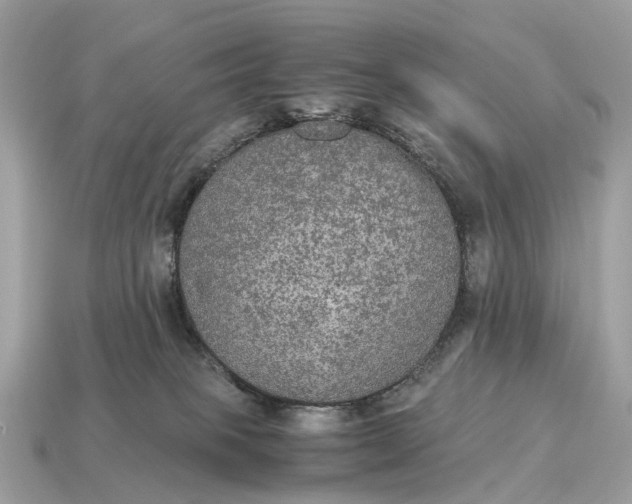 X0000115120085200911101635