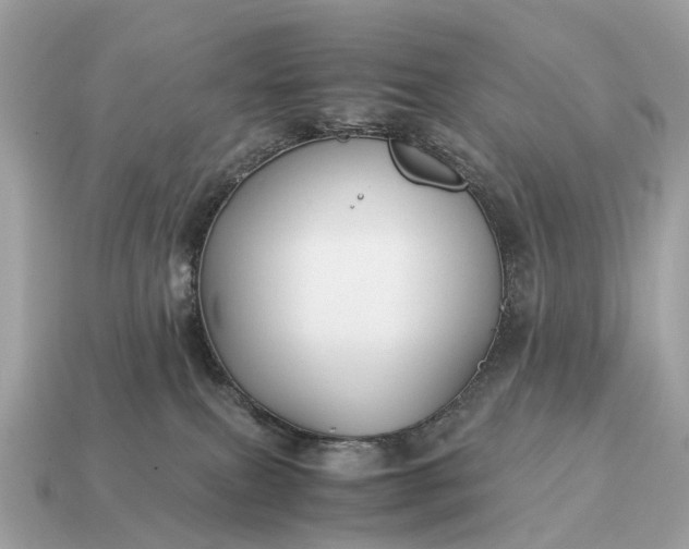 X0000115120087200911101635