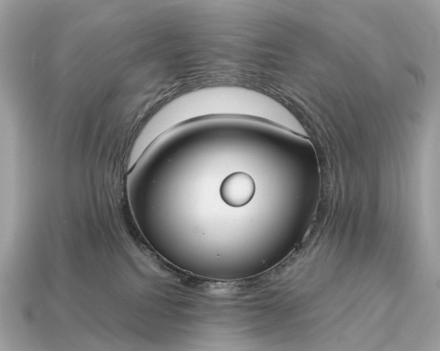X0000115120088200911101635