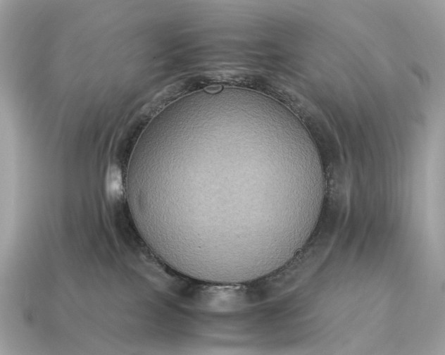 X0000115120089200911101635