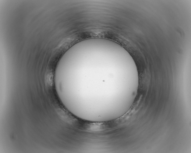 X0000115120090200911101635