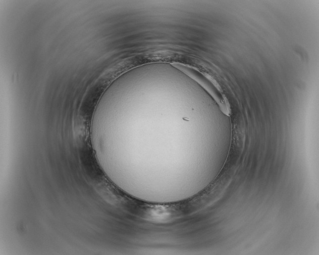X0000115120091200911101635