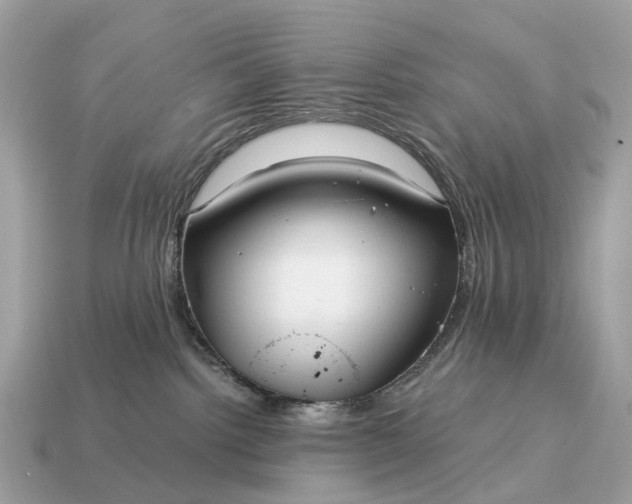 X0000115120092200911101635
