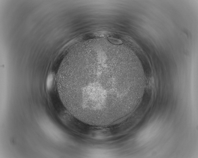 X0000115120095200911101635
