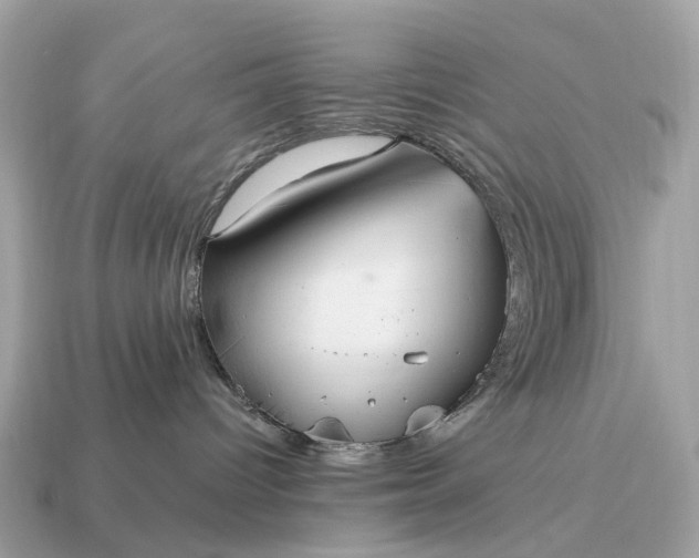 X0000115120096200911101635