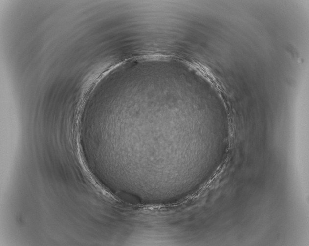 X0000115120097200911101635