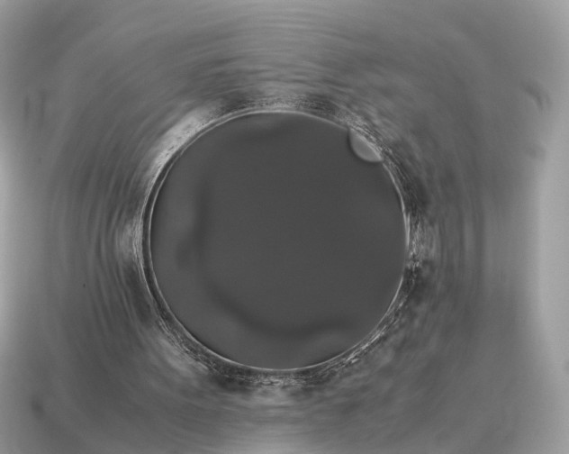 X0000115120099200911101635
