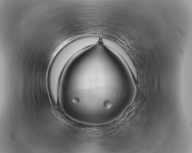 X0000115120100200911101635