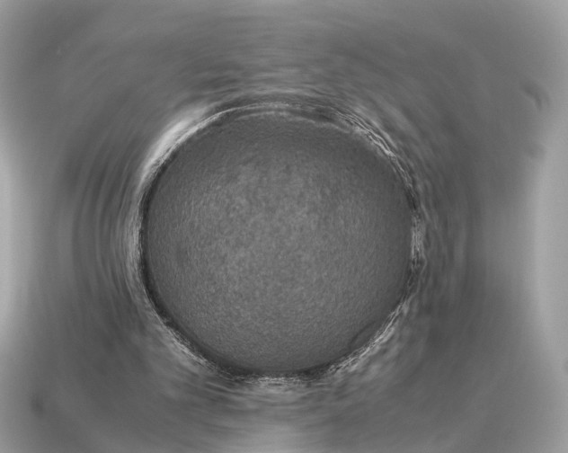 X0000115120101200911101635
