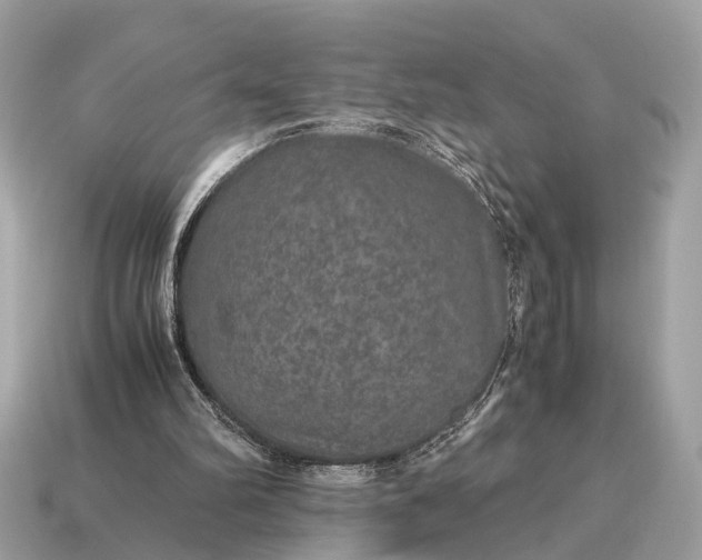 X0000115120102200911101635