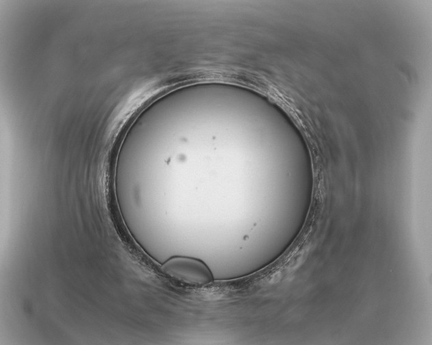 X0000115120103200911101635