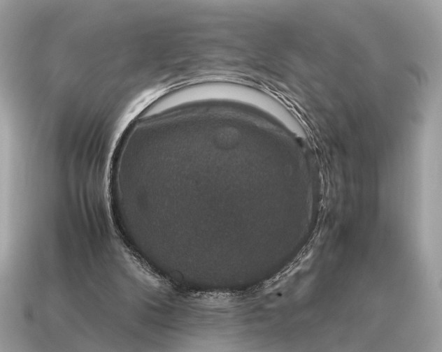 X0000115120104200911101634