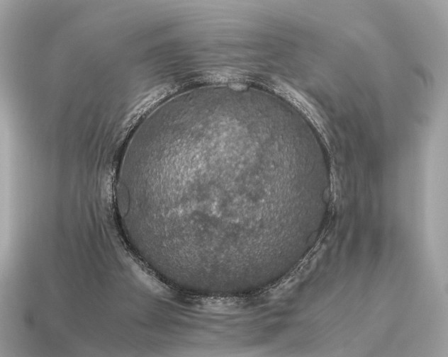 X0000115120105200911101634