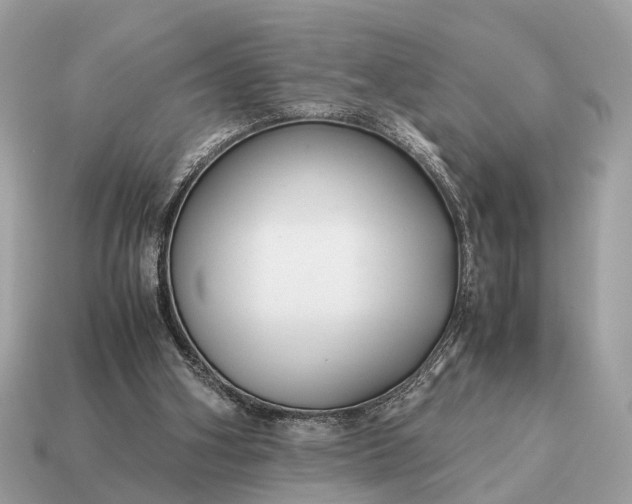 X0000115120106200911101634