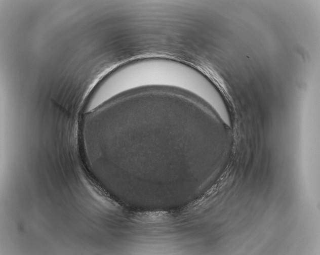 X0000115120108200911101634