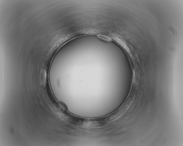 X0000115120109200911101634